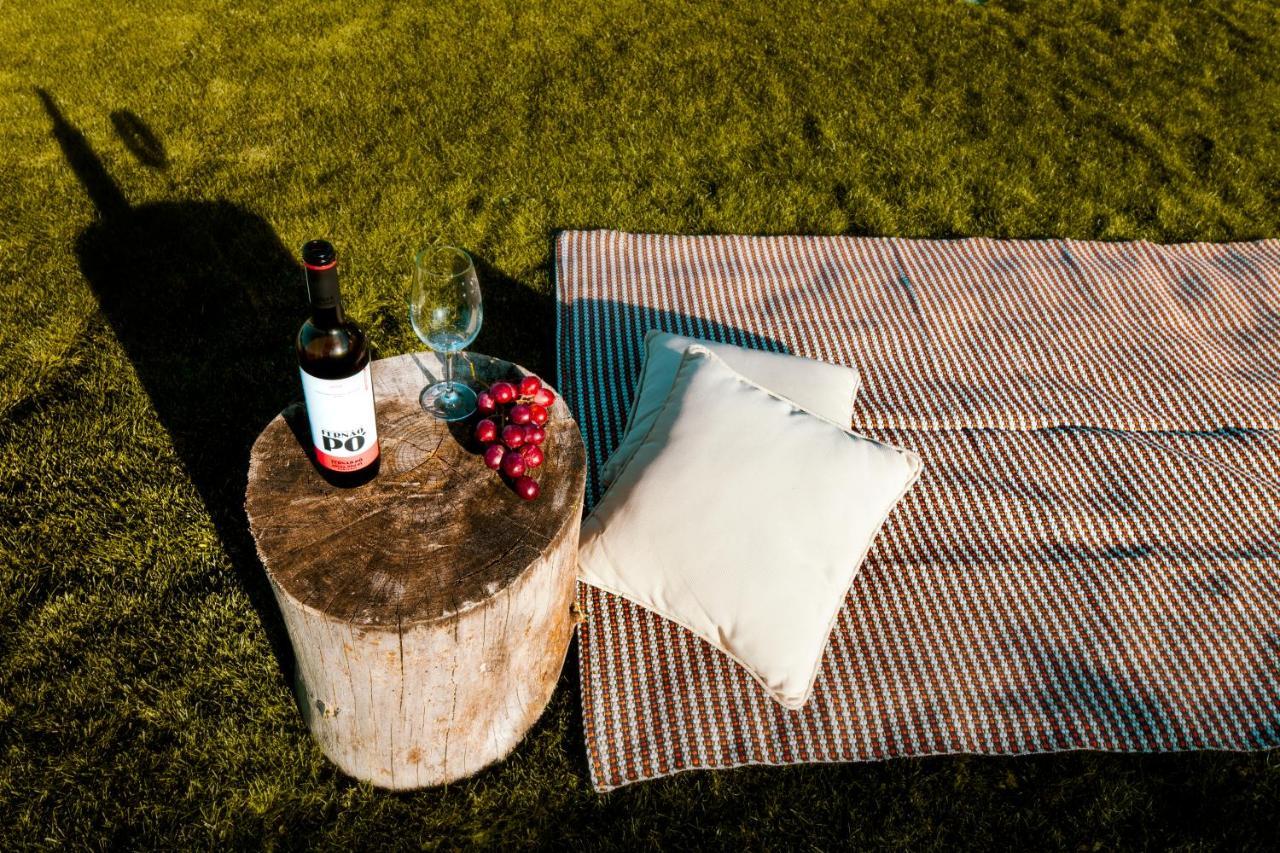 Delmira Vineyard House Villa Aguas de Moura Luaran gambar